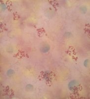 Dinámica de fluidos X