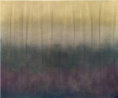 Dinámica de fluidos VIII