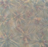 Recorrido incierto II