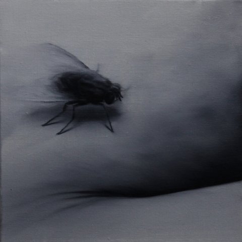 El vuelo de la mosca V