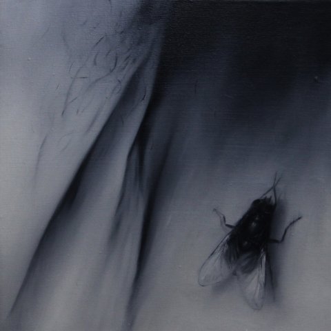 El vuelo de la mosca VIII