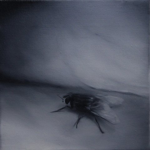 El vuelo de la mosca X