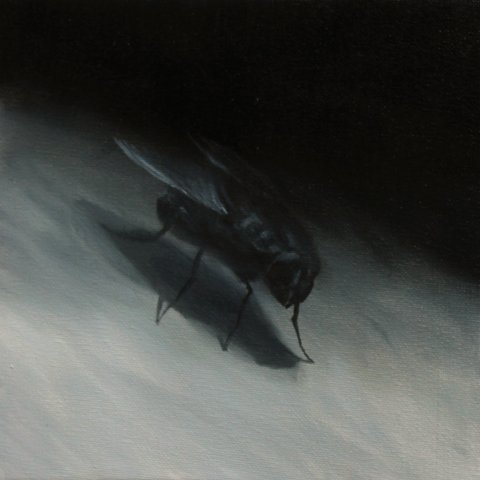 El vuelo de la mosca XI