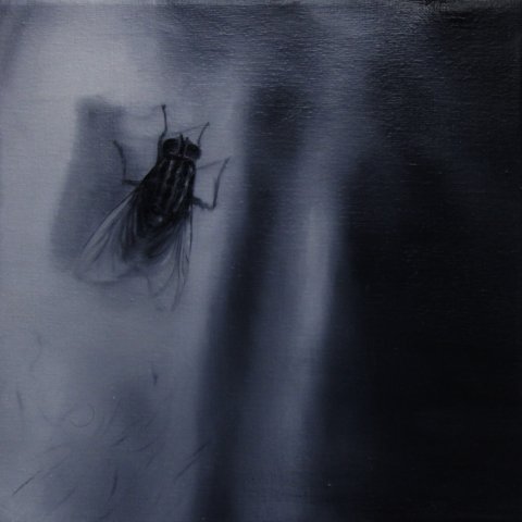 El vuelo de la mosca XII