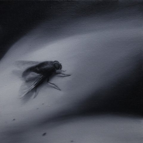 El vuelo de la mosca XIII