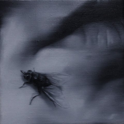 El vuelo de la mosca XIX