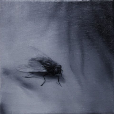 El vuelo de la mosca XVI