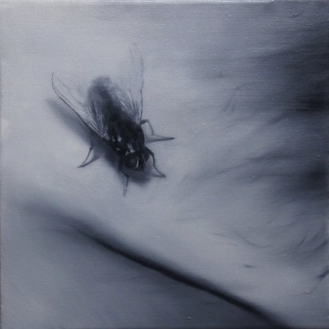 El vuelo de la mosca XVII