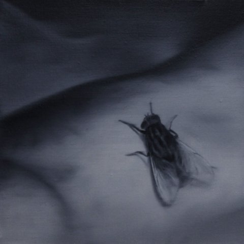 El vuelo de la mosca XVIII