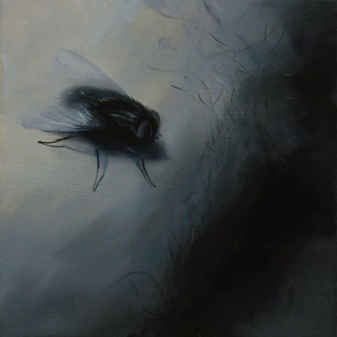 El vuelo de la mosca XXI