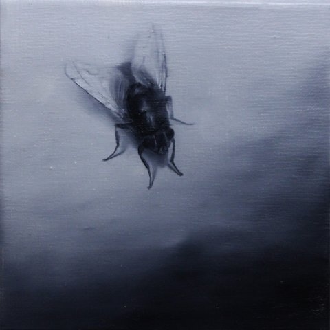 El vuelo de la mosca XXII