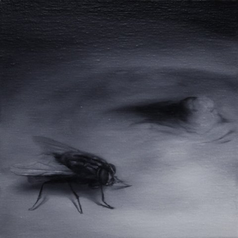 El vuelo de la mosca XXIII