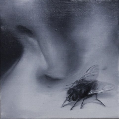 El vuelo de la mosca XXIV