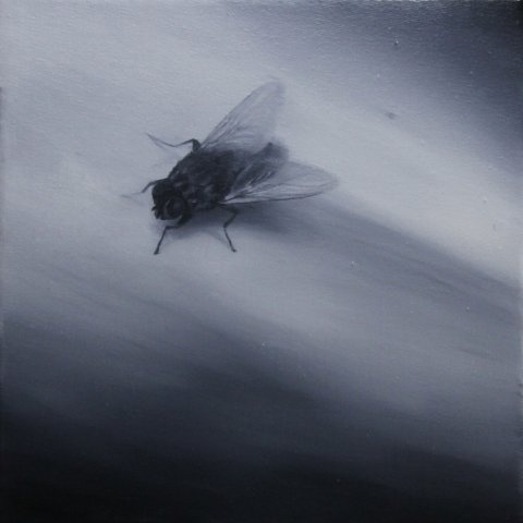 El vuelo de la mosca XXIX