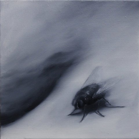 El vuelo de la mosca XXV