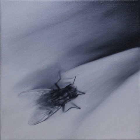 El vuelo de la mosca XXVII