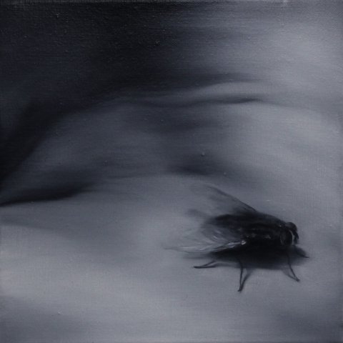 El vuelo de la mosca XXVIII