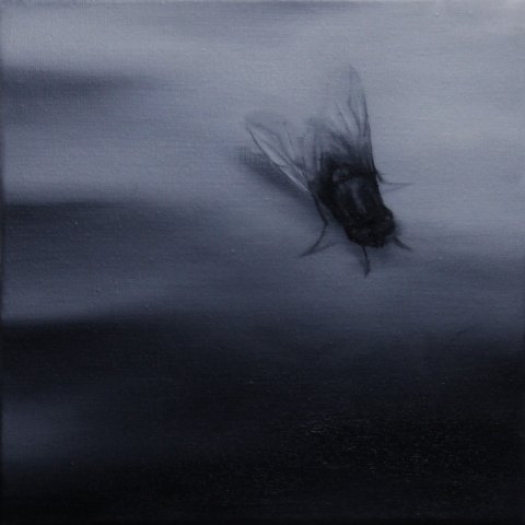 El vuelo de la mosca XXX