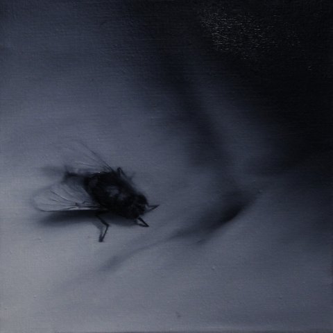 El vuelo de la mosca XXXIII