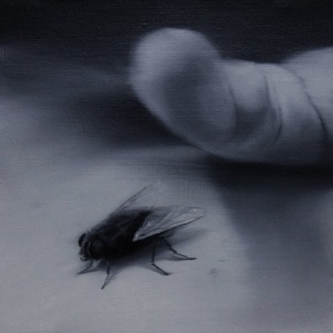 El vuelo de la mosca XXXIV