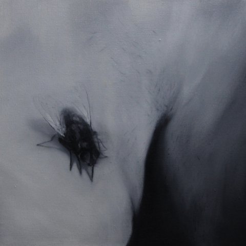 El vuelo de la mosca XXXVI