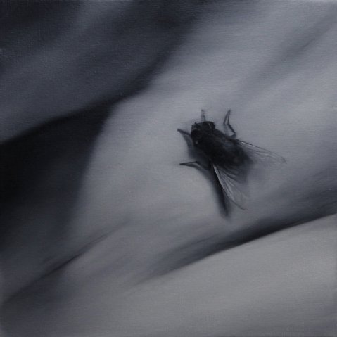 El vuelo de la mosca XXXVII