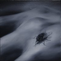El vuelo de la mosca I