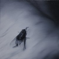 El vuelo de la mosca II