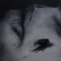 El vuelo de la mosca IV