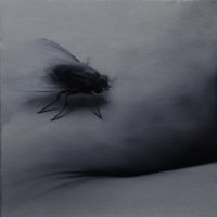 El vuelo de la mosca V