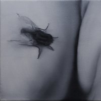 El vuelo de la mosca VI