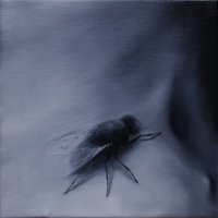 El vuelo de la mosca VII