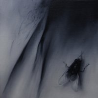 El vuelo de la mosca VIII