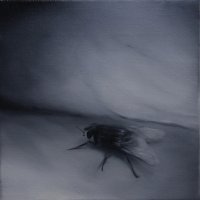 El vuelo de la mosca X