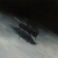 El vuelo de la mosca XI