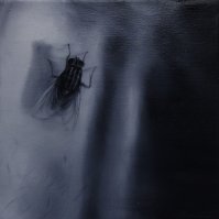 El vuelo de la mosca XII