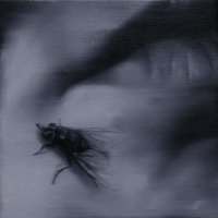 El vuelo de la mosca XIX