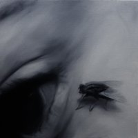 El vuelo de la mosca XV