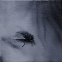 El vuelo de la mosca XVI