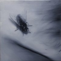 El vuelo de la mosca XVII