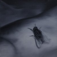 El vuelo de la mosca XVIII