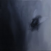 El vuelo de la mosca XX