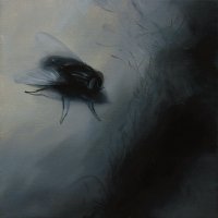 El vuelo de la mosca XXI