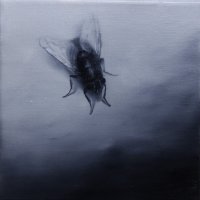 El vuelo de la mosca XXII