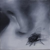 El vuelo de la mosca XXIV