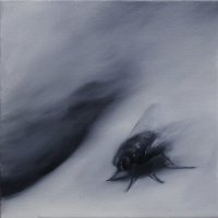 El vuelo de la mosca XXV