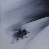 El vuelo de la mosca XXVII