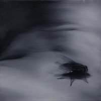 El vuelo de la mosca XXVIII