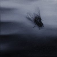 El vuelo de la mosca XXX