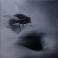 El vuelo de la mosca XXXI